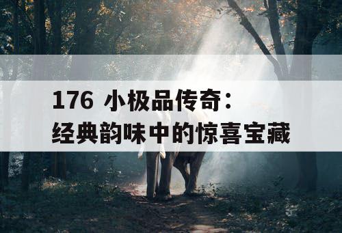 176 小极品传奇:经典韵味中的惊喜宝藏 176 小极品传奇:经典韵味中的惊喜宝藏