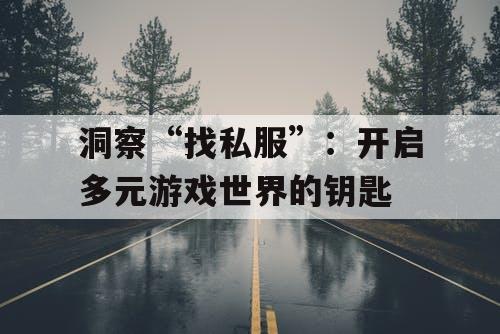 洞察“找私服”：开启多元游戏世界的钥匙