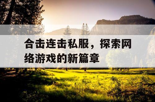 合击连击私服，探索网络游戏的新篇章