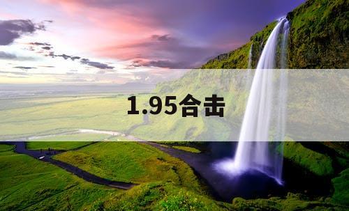 1.95合击 1.95合击