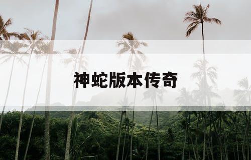 神蛇版本传奇