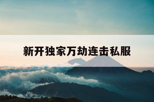 新开独家万劫连击私服
