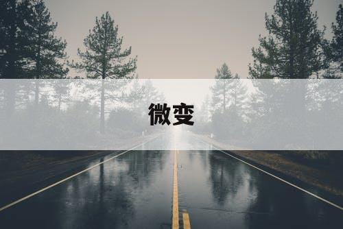 微变 微变