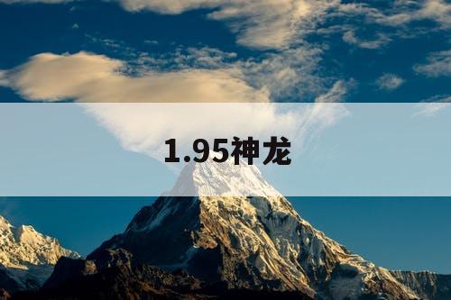 1.95神龙