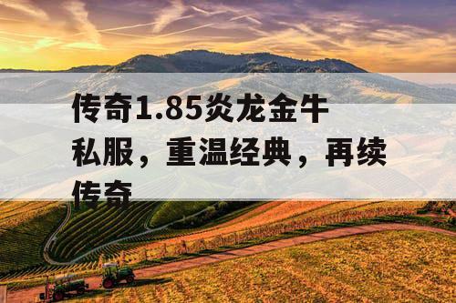 传奇1.85炎龙金牛私服，重温经典，再续传奇