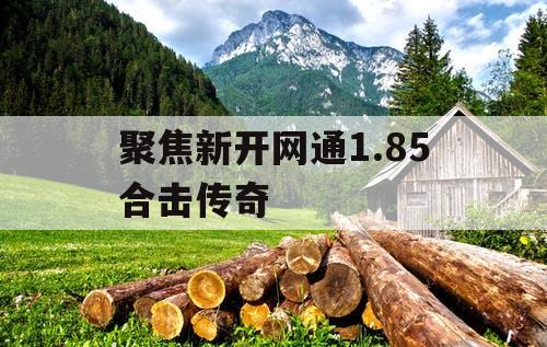 聚焦新开网通1.85合击传奇