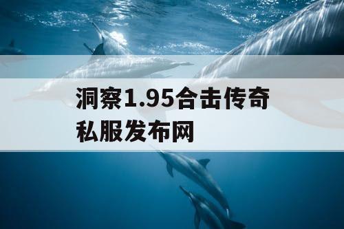 洞察1.95合击传奇私服发布网