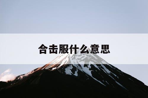 合击服什么意思