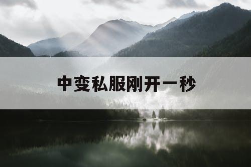 中变私服刚开一秒