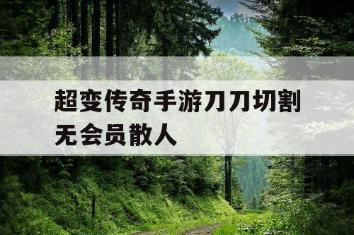 超变传奇手游刀刀切割无会员散人