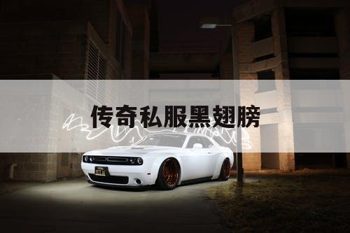 传奇私服黑翅膀