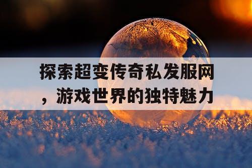 探索超变传奇私发服网，游戏世界的独特魅力