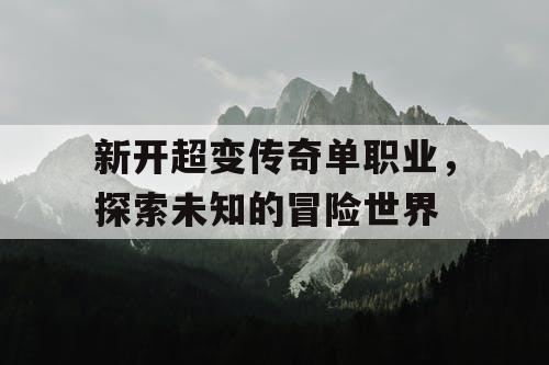 新开超变传奇单职业，探索未知的冒险世界