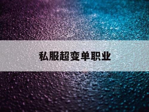 私服超变单职业