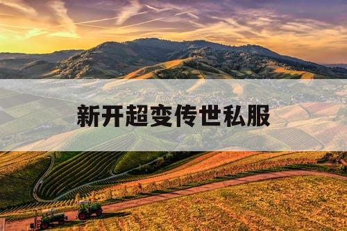 新开超变传世私服