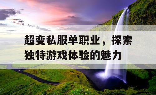 超变私服单职业，探索独特游戏体验的魅力