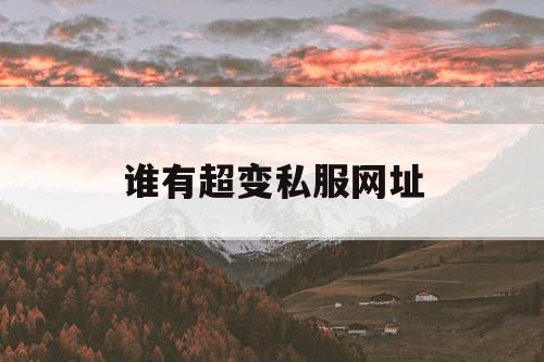 谁有超变私服网址