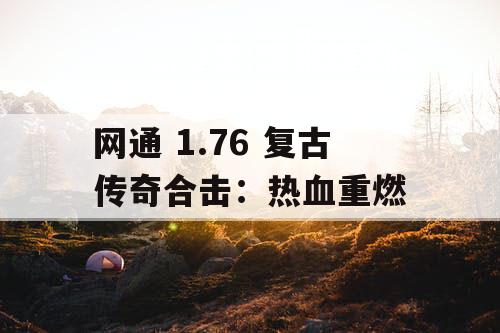 网通 1.76 复古传奇合击：热血重燃