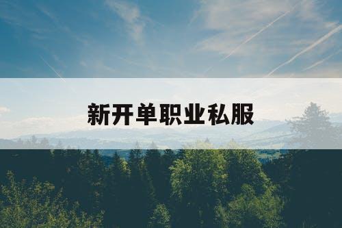 新开单职业私服