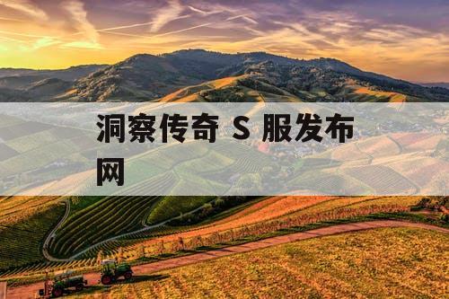 洞察传奇 S 服发布网