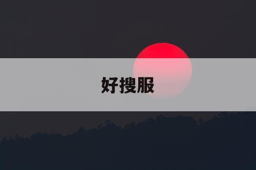 好搜服 好搜服