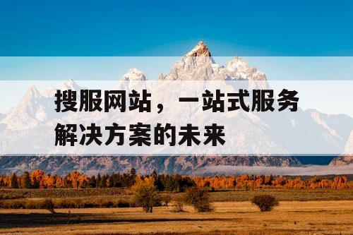搜服网站,一站式服务解决方案的未来 搜服网站,一站式服务解决方案的未来