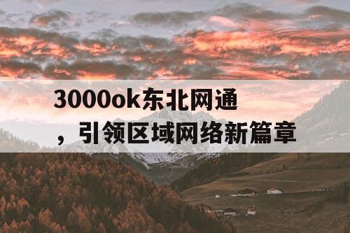 3000ok东北网通，引领区域网络新篇章
