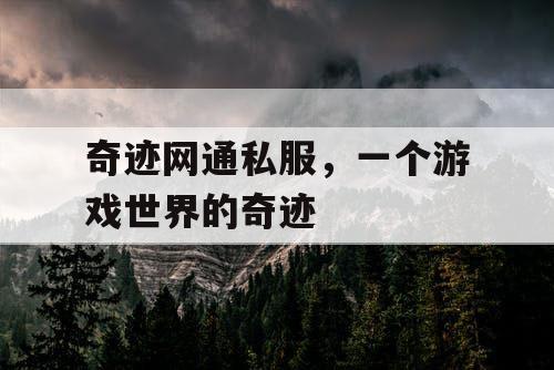 奇迹网通私服,一个游戏世界的奇迹 奇迹网通私服,一个游戏世界的奇迹