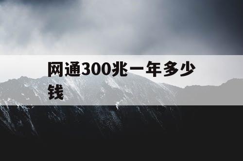 网通300兆一年多少钱