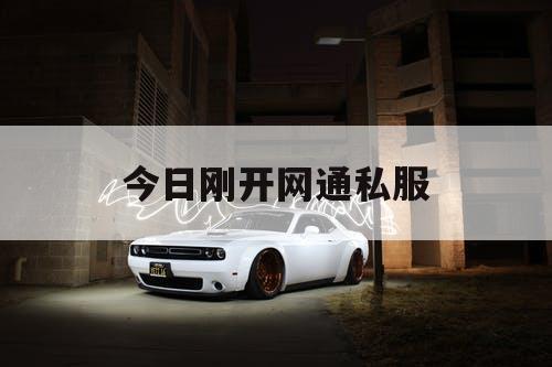 今日刚开网通私服