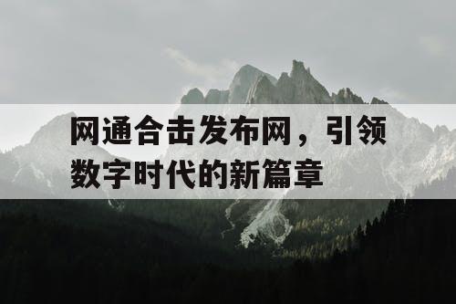 网通合击发布网，引领数字时代的新篇章