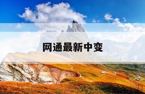 网通最新中变