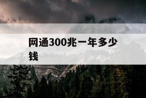网通300兆一年多少钱 网通300兆一年多少钱