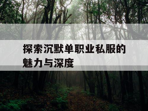 探索沉默单职业私服的魅力与深度