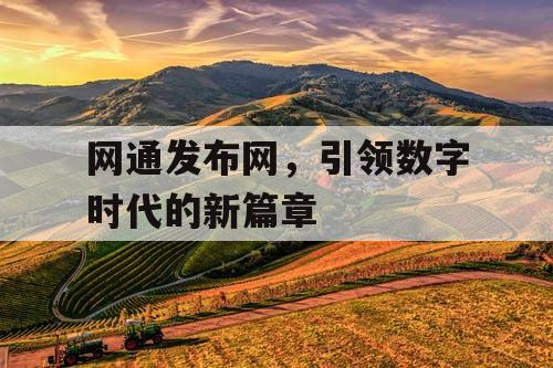 网通发布网，引领数字时代的新篇章