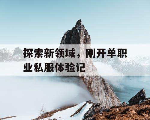 探索新领域，刚开单职业私服体验记