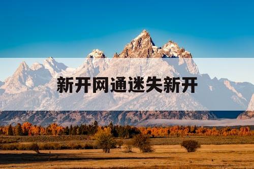 新开网通迷失新开