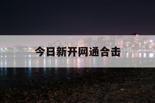 今日新开网通合击