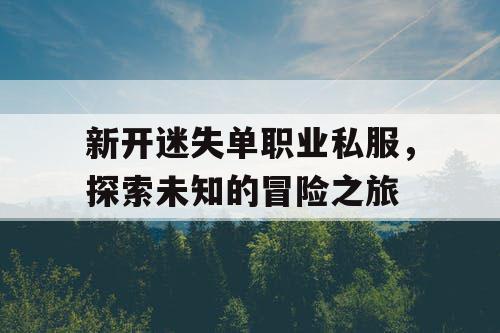 新开迷失单职业私服，探索未知的冒险之旅