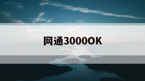 网通3000OK