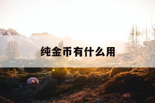 纯金币有什么用