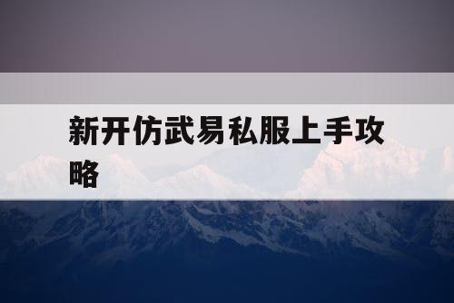 新开仿武易私服上手攻略