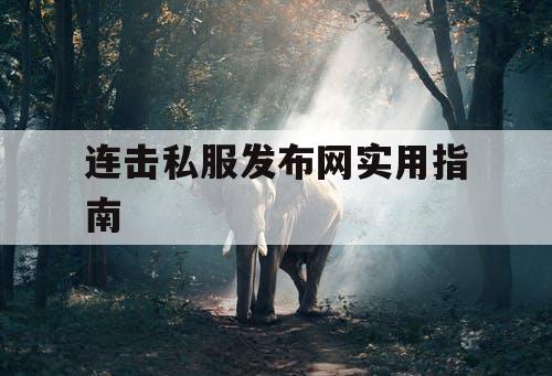 连击私服发布网实用指南