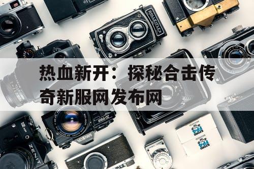 热血新开：探秘合击传奇新服网发布网