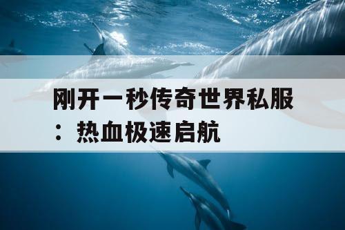 刚开一秒传奇世界私服：热血极速启航