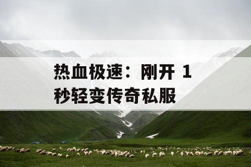 热血极速：刚开 1 秒轻变传奇私服