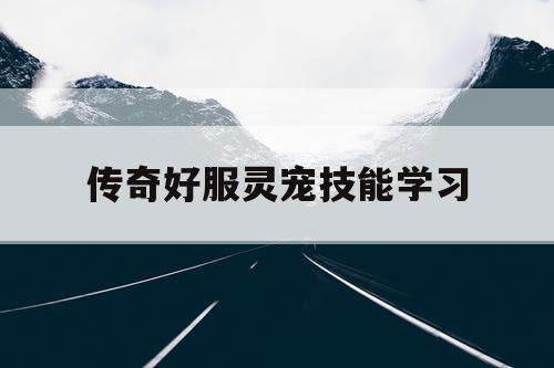 传奇好服灵宠技能学习