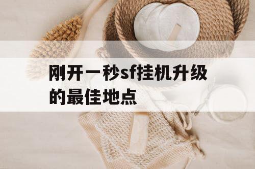 刚开一秒sf挂机升级的最佳地点