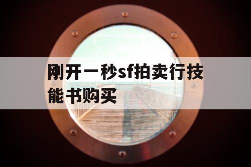 刚开一秒sf拍卖行技能书购买