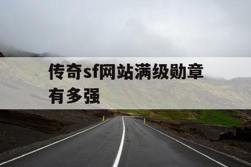 传奇sf网站满级勋章有多强